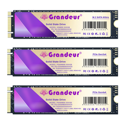 Solid State Drive 8