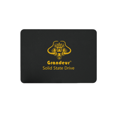 Solid State Drive SATA25